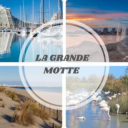 Le Dream Beach-Terrasse-Vue Mer D'Exception-Wifi-Parking - Top Pros Servicesconciergerie Палавас-ле-Фло Екстер'єр фото